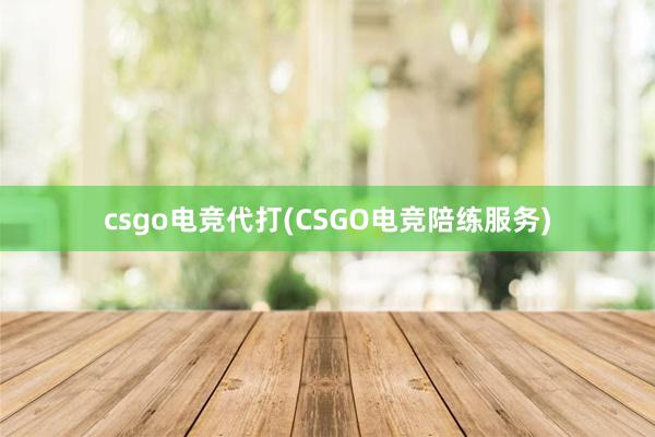 csgo电竞代打(CSGO电竞陪练服务)