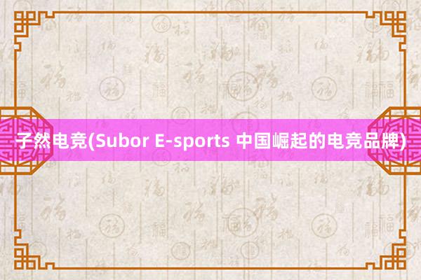 子然电竞(Subor E-sports 中国崛起的电竞品牌)