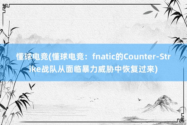 懂球电竞(懂球电竞：fnatic的Counter-Strike战队从面临暴力威胁中恢复过来)