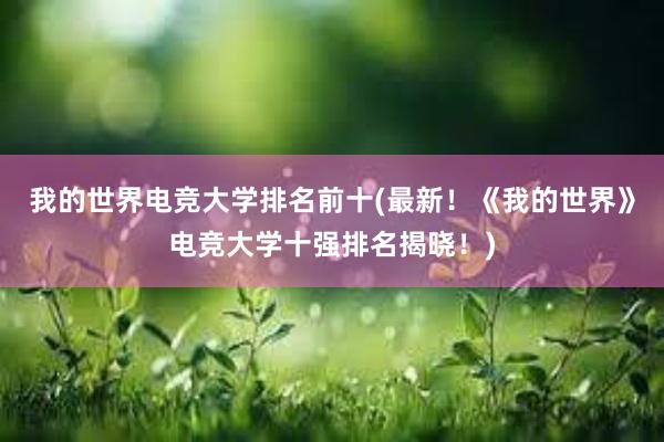 我的世界电竞大学排名前十(最新！《我的世界》电竞大学十强排名揭晓！)