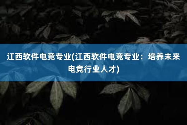 江西软件电竞专业(江西软件电竞专业：培养未来电竞行业人才)