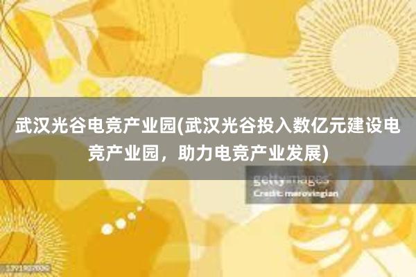 武汉光谷电竞产业园(武汉光谷投入数亿元建设电竞产业园，助力电竞产业发展)