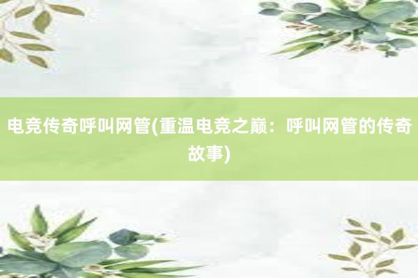 电竞传奇呼叫网管(重温电竞之巅：呼叫网管的传奇故事)