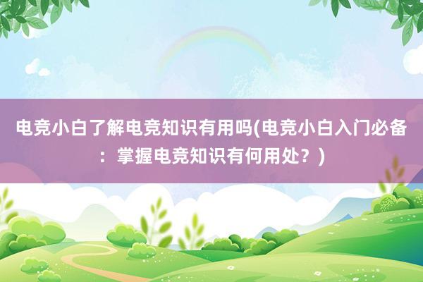 电竞小白了解电竞知识有用吗(电竞小白入门必备：掌握电竞知识有何用处？)