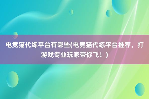 电竞猫代练平台有哪些(电竞猫代练平台推荐，打游戏专业玩家带你飞！)