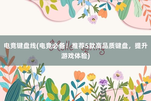 电竞键盘线(电竞必备！推荐5款高品质键盘，提升游戏体验)