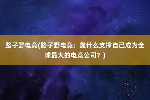 路子野电竞(路子野电竞：靠什么支撑自己成为全球最大的电竞公司？)