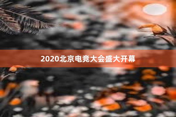 2020北京电竞大会盛大开幕