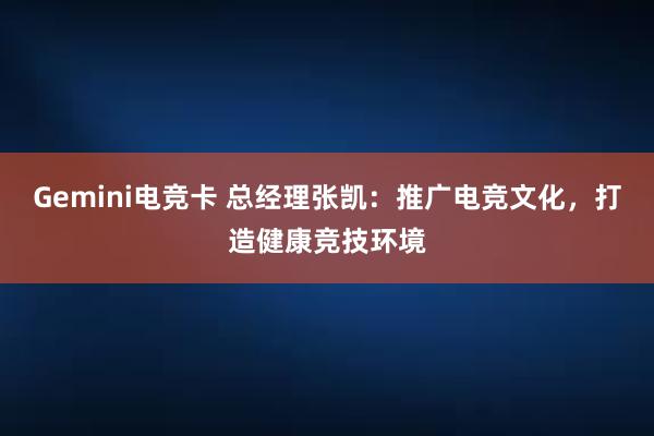 Gemini电竞卡 总经理张凯：推广电竞文化，打造健康竞技环境