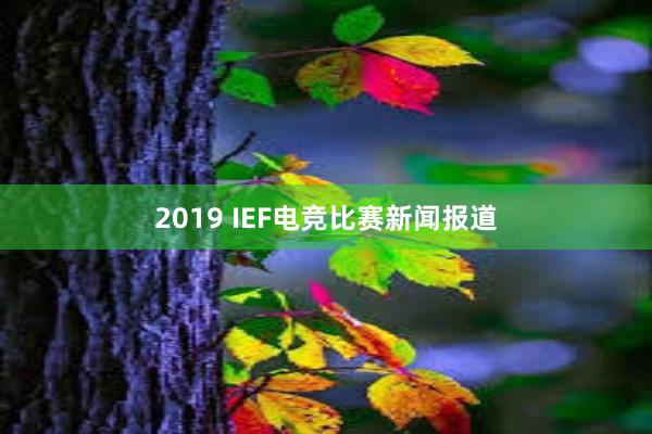 2019 IEF电竞比赛新闻报道