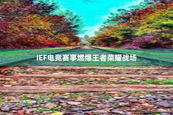 IEF电竞赛事燃爆王者荣耀战场