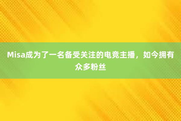 Misa成为了一名备受关注的电竞主播，如今拥有众多粉丝