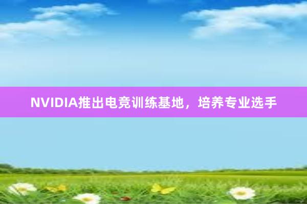 NVIDIA推出电竞训练基地，培养专业选手