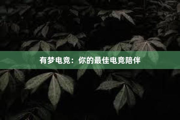 有梦电竞：你的最佳电竞陪伴