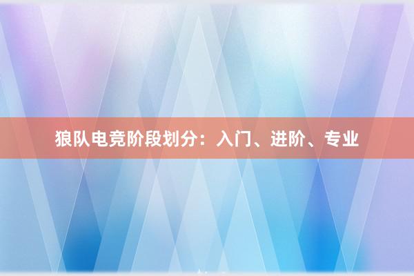 狼队电竞阶段划分：入门、进阶、专业