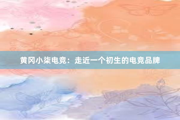 黄冈小柒电竞：走近一个初生的电竞品牌